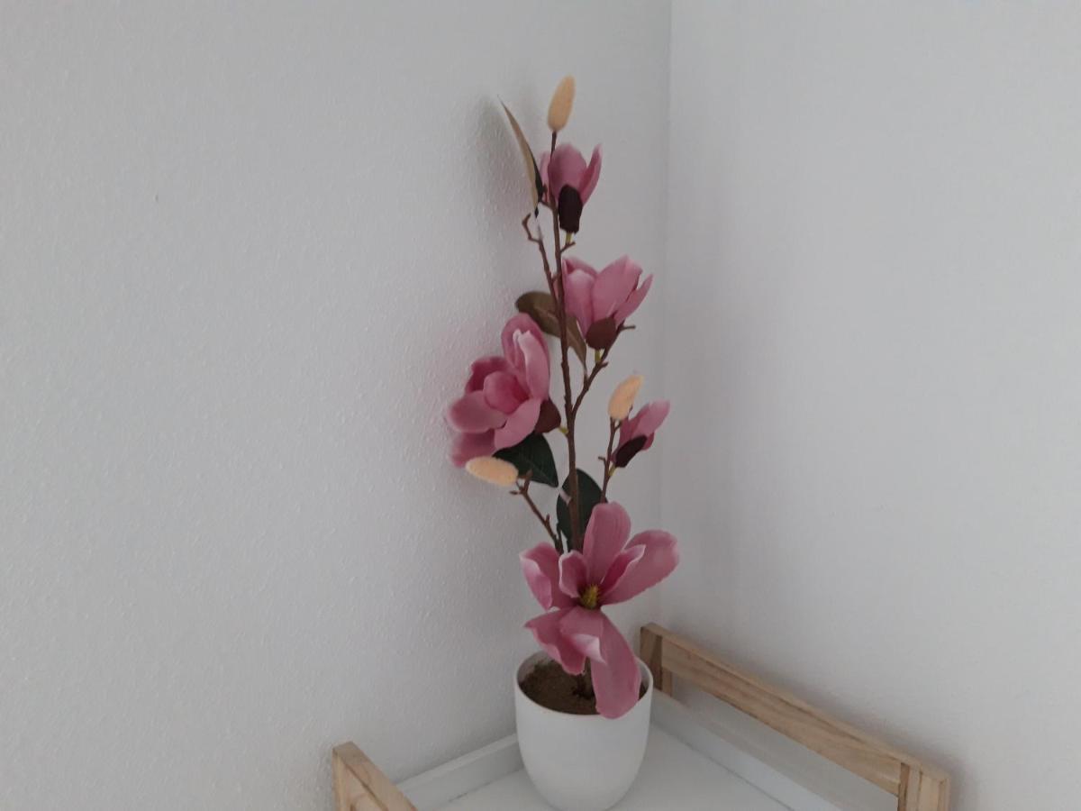 Appartement Mediterraneo Lux à Aguadulce  Extérieur photo